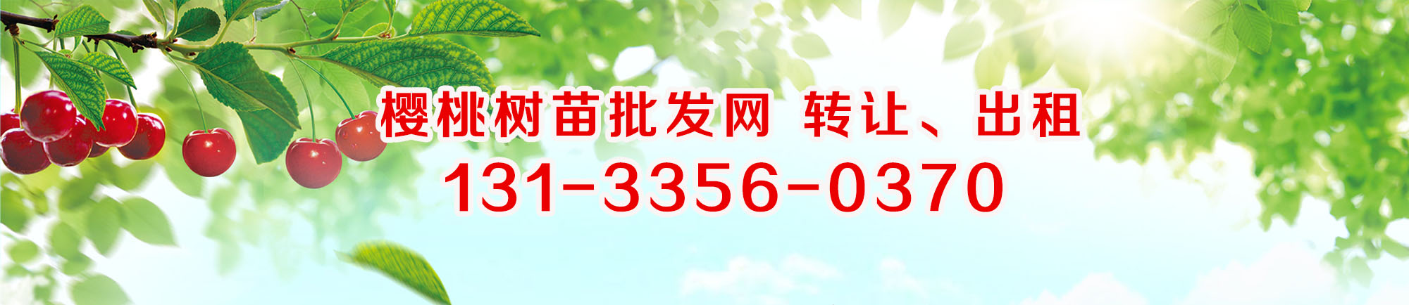 首页幻灯大图五