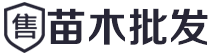 大樱桃树苗批发网